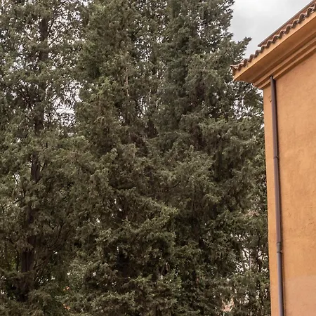 Pmt Roma